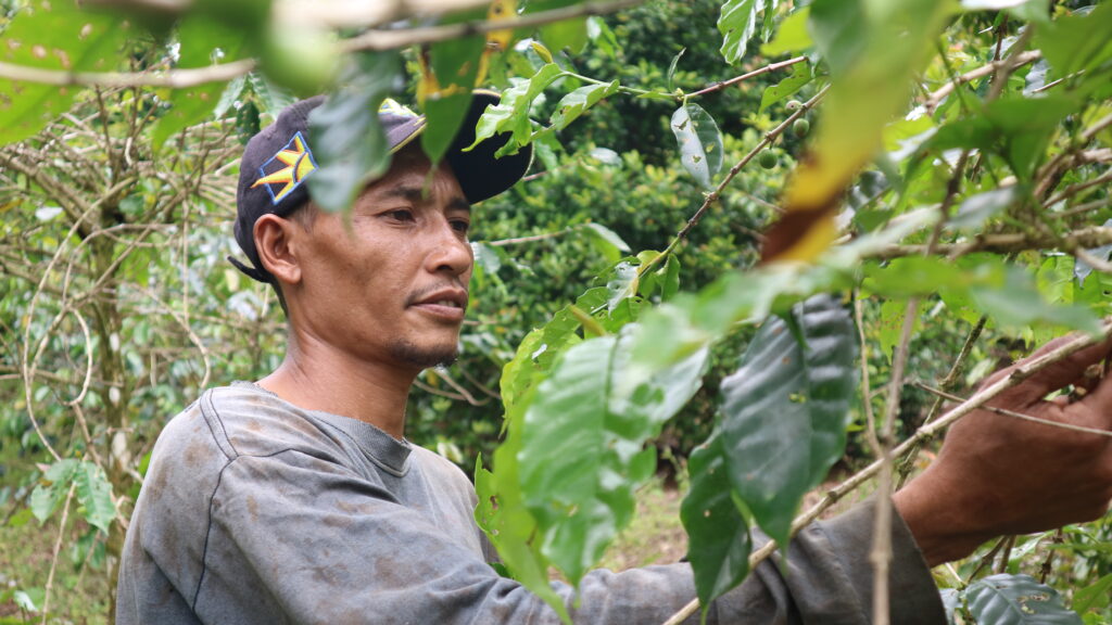 Rencana Induk Pertumbuhan Ekonomi Hijau NTT menawarkan tiga skenario agar ekonomi tumbuh dan lingkungan terjaga selama puluhan tahun ke depan.