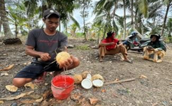 Proses pembuatan ZPT di kebun dapur Tani Wijaya (Agnes Oktavia/ICRAF Indonesia)
