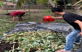 Pembuatan pupuk organik padat di kebun dapur Pengen Maju (Arsen Pettrick/ICRAF Indonesia)